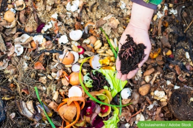 Kompost liefert natürlichen Gartendünger