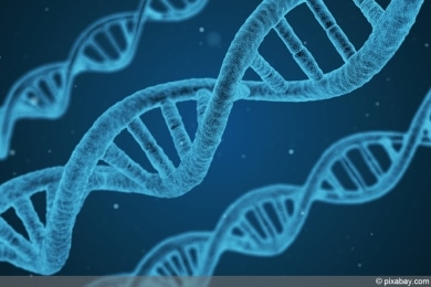 DNS - DNA - Doppelhelix