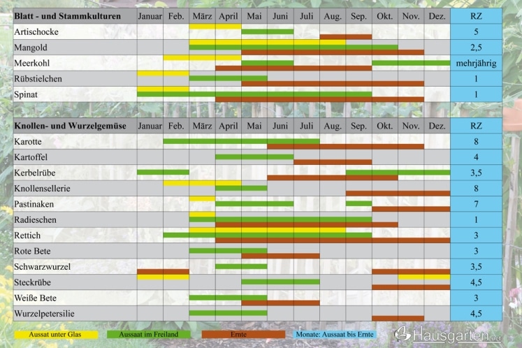 Aussaatkalender für Gemüse - wann welches Gemüse aussäen? - Hausgarten.net